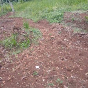 [C1020] Dijual Tanah Dengan Luas 1900 Meter di Cilaku Cibinong Hilir Cianjur