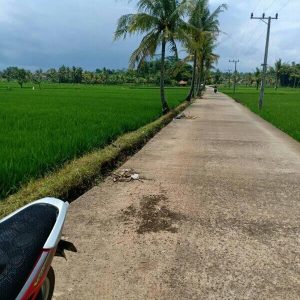 Di Jual Sawah aktif di Lagensari, Karangtengah