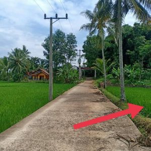 Di Jual Sawah aktif di Lagensari, Karangtengah