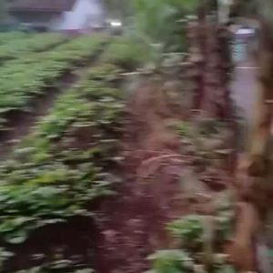 Di Jual Tanah Darat di Nagrak Cianjur