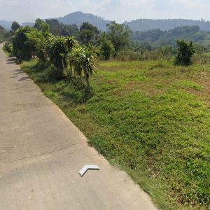 Dijual Tanah Kebun di Kutawaringin, Puncak Cianjur