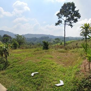 Dijual Tanah Kebun di Kutawaringin, Puncak Cianjur