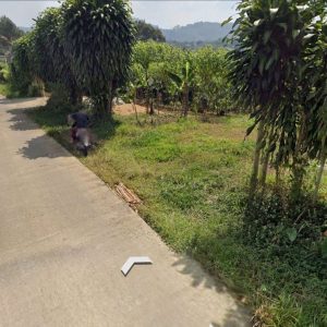Dijual Tanah Kebun di Kutawaringin, Puncak Cianjur