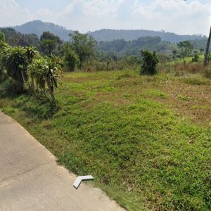 Dijual Tanah Kebun di Kutawaringin, Puncak Cianjur