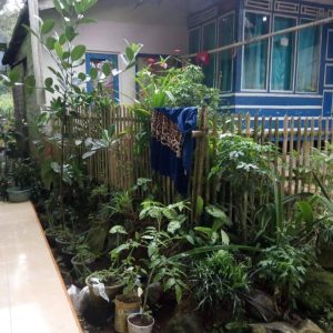 Di Jual Rumah Panggung Murah di Cibokor Cibeber