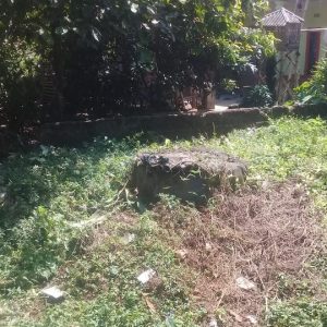 Di Jual Rumah Murah di Panyusuhan Sukaluyu