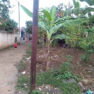 Di Jual Tanah Strategis di Cilaku