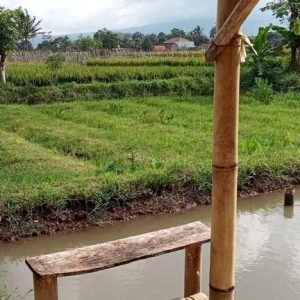 Di Jual Sawah di Warungkondang