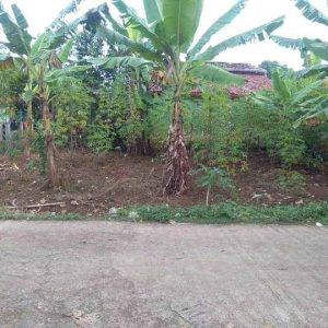 Di Jual Tanah Strategis di Cilaku