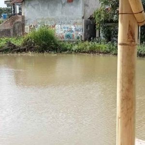 Di Jual Sawah di Warungkondang