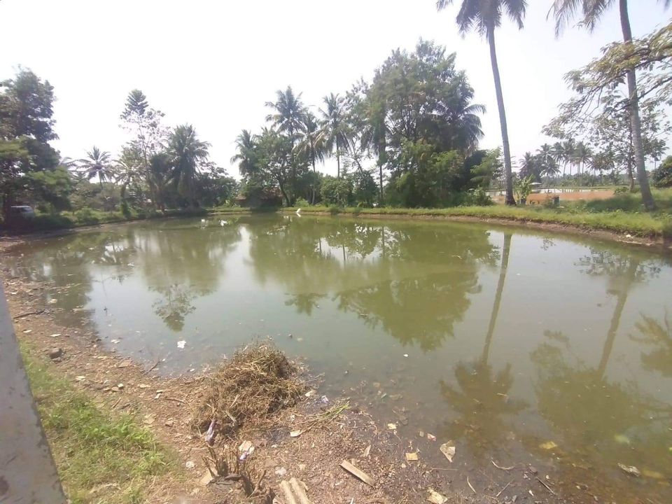 Di Jual Tanah di Ciwaru Karangtengah