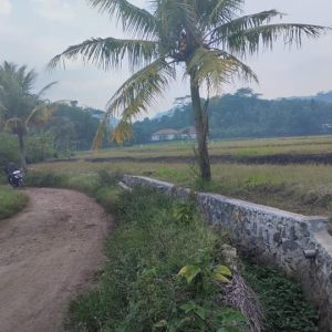 Dijual Cepat Sawah di Desa Salam Nunggal, Cibeber
