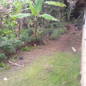 Dijual Cepat Rumah di Karang Nunggal, Cibeber