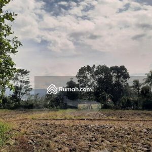 Dijual Sawah Produktif Ciranjang, Cianjur