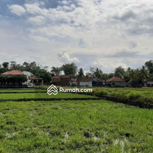 Dijual Sawah Produktif Ciranjang, Cianjur