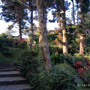 Dijual Villa di Cipanas Puncak