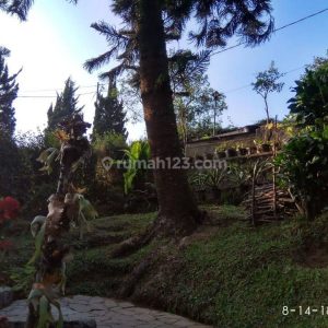 Dijual Villa di Cipanas Puncak