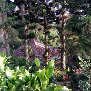 Dijual Villa di Cipanas Puncak