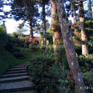 Dijual Villa di Cipanas Puncak