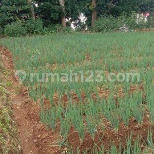 Dijual 2 Tanah Kavling di Bumi Ciherang, Pacet, Cianjur
