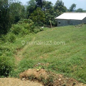 Dijual Tanah Kebun di Pacet