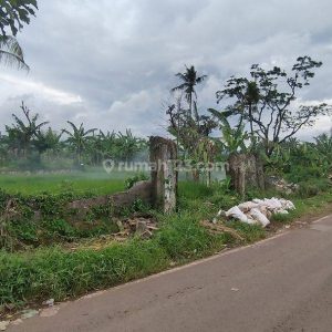Dijual Tanah Strategis di Limbangansari, Cianjur