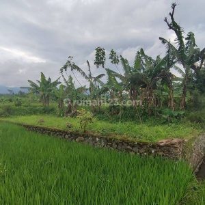 Dijual Tanah Strategis di Limbangansari, Cianjur