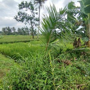 Dijual Tanah Strategis di Limbangansari, Cianjur