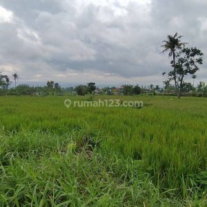 Dijual Tanah Strategis di Limbangansari, Cianjur