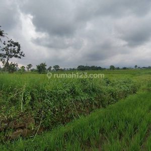 Dijual Tanah Strategis di Limbangansari, Cianjur