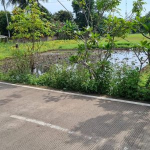 Dijual Tanah Murah pinggir Jalan Karangtengah