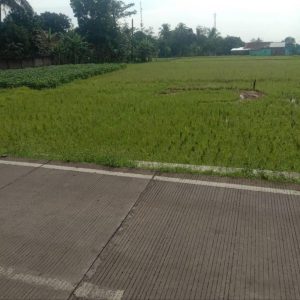 Dijual Tanah Murah pinggir Jalan Karangtengah