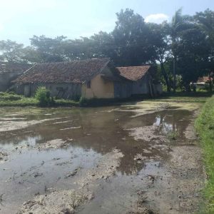 Dijual Lahan Strategis pinggir Jalan Cipeyeum, Haurwangi