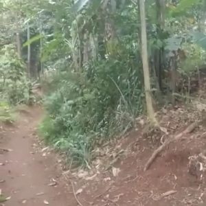 Dijual cepat Tanah Datar di Cibeber, Cianjur