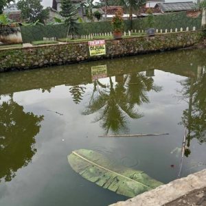 Dijual Kolam Ikan di Cikidang, Cianjur Kota