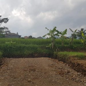 Dijual Tanah di Panembong, Cianjur