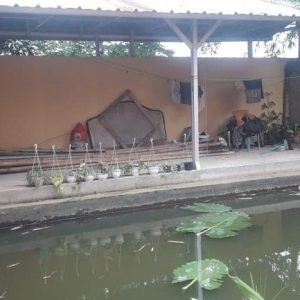 Dijual Rumah plus Kolam Ikan di Karangtengah
