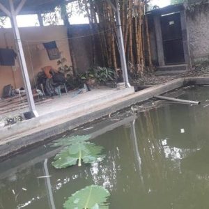 Dijual Rumah plus Kolam Ikan di Karangtengah, Cianjur