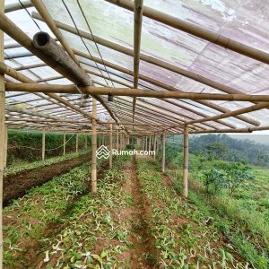 Dijual Tanah Komersial di Jl Cipendawa, Cipanas