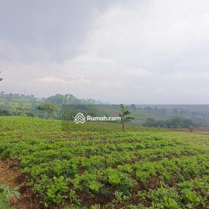 Dijual Tanah Komersial di Jl Cipendawa, Cipanas