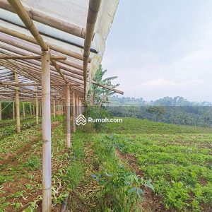 Dijual Tanah Komersial di Jl Cipendawa, Cipanas