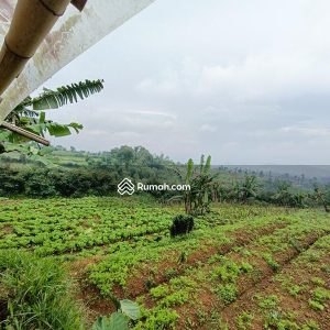 Dijual Tanah Komersial di Jl Cipendawa, Cipanas