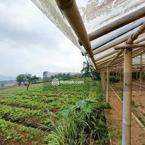 Dijual Tanah Komersial di Jl Cipendawa, Cipanas