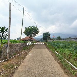 Dijual Tanah Komersial di Jl Cipendawa, Cipanas