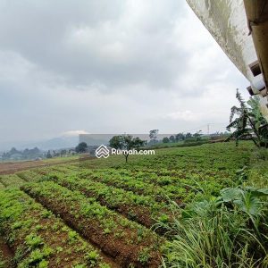 Dijual Tanah Komersial di Jl Cipendawa, Cipanas