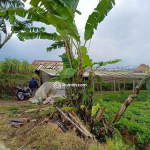 Dijual Tanah Komersial di Jl Cipendawa, Cipanas