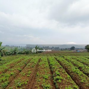 Dijual Tanah Komersial di Jl Cipendawa, Cipanas