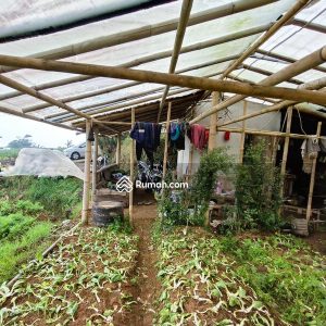 Dijual Tanah Komersial di Jl Cipendawa, Cipanas