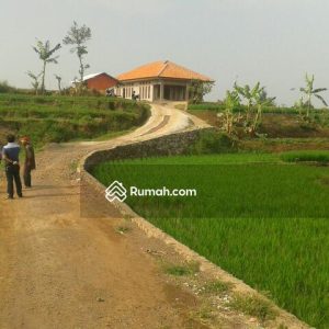 Dijual Tanah Sawah di Sirnagalih Cilaku