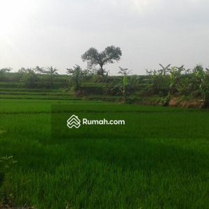 Dijual Tanah Sawah di Sirnagalih Cilaku